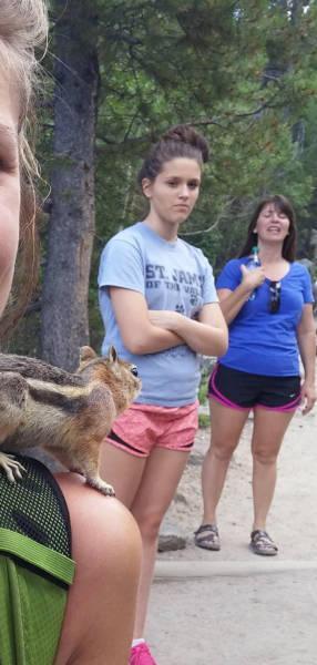 Illustration de l'article : 33 funny photos that sum up envy and jealously between friends