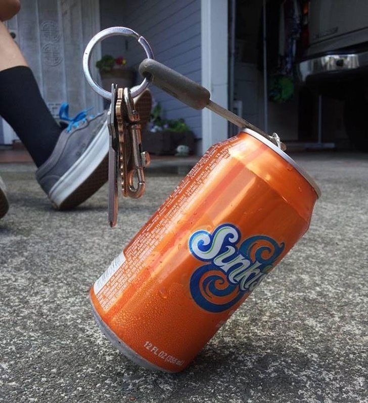 Illustration de l'article : 20 photos snapped at exactly the right moment