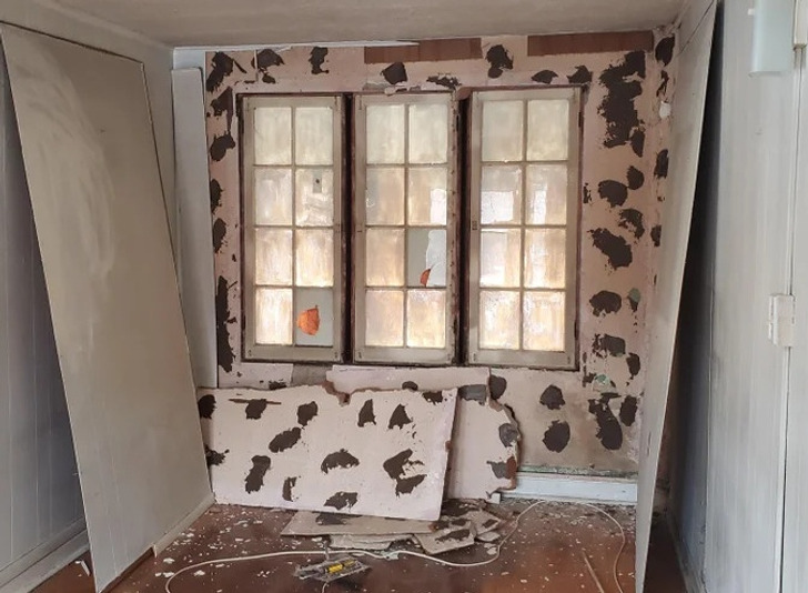 Illustration de l'article : 20 photos of fascinating finds discovered during renovations