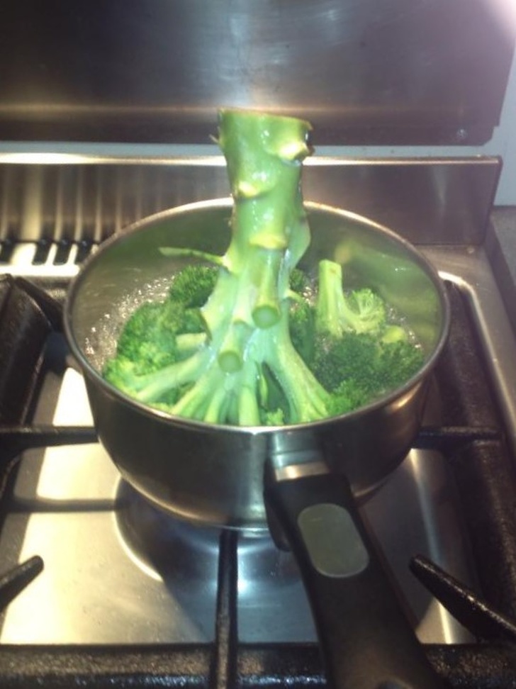 Illustration de l'article : 19 people who should never be left unsupervised in a kitchen
