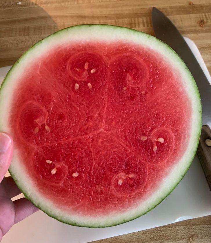 Illustration de l'article : 15 photos that will make perfectionists happy