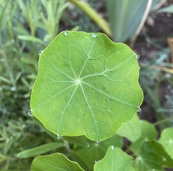 Illustration de l'article : 19 photos that illustrate the beauty of nature