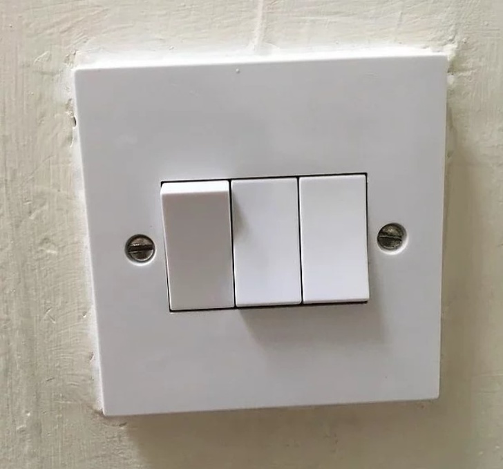 Illustration de l'article : 13 truly exasperating situations caught on camera