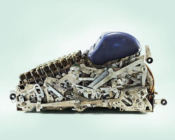 Illustration de l'article : 17 objects that have been cut in half revealing their secrets!