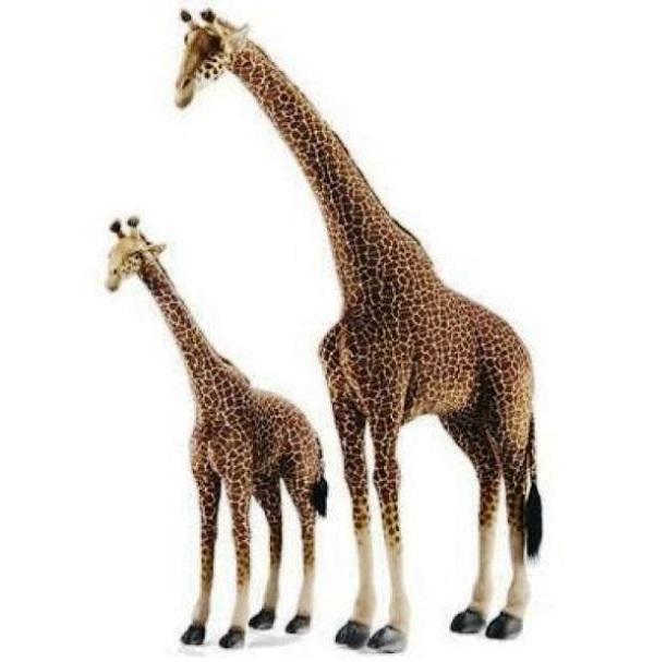 Illustration de l'article : 16 toys that are more expensive than you would ever believe!