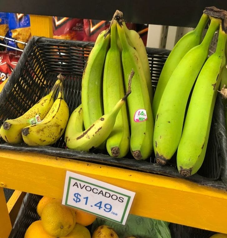 Illustration de l'article : 16 people who were determined to do things their own way