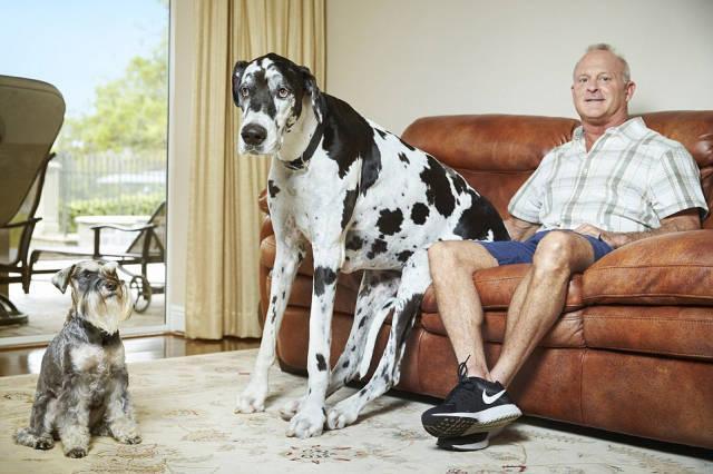 Illustration de l'article : 19 of the most unusual world records from The Guinness Book of World Records! Which are the most surprising?