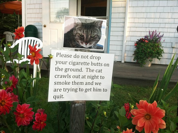 Illustration de l'article : 30 residents who decided to spice up their neighborhood