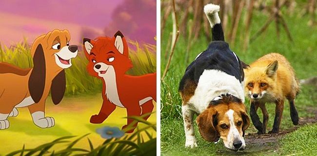 Illustration de l'article : 14 animals that are the exact copies of our favorite cartoon characters