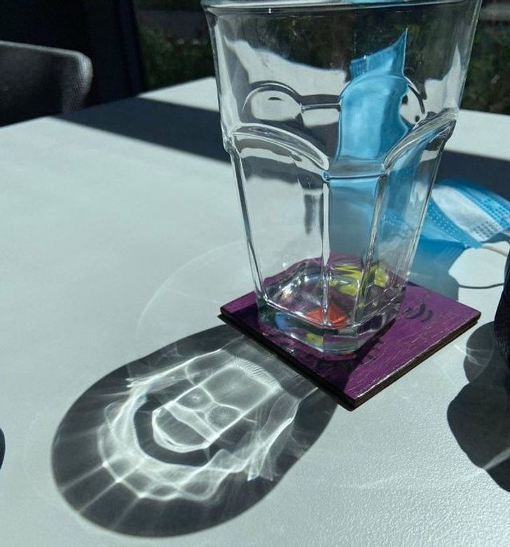 Illustration de l'article : 19 times when someone came across something weird