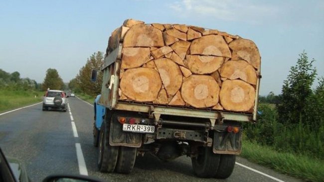 Illustration de l'article : 18 pictures so perfect that they seem unreal