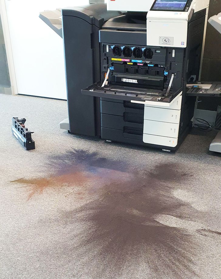 Illustration de l'article : 20 photos of interesting and amazing natural phenomena