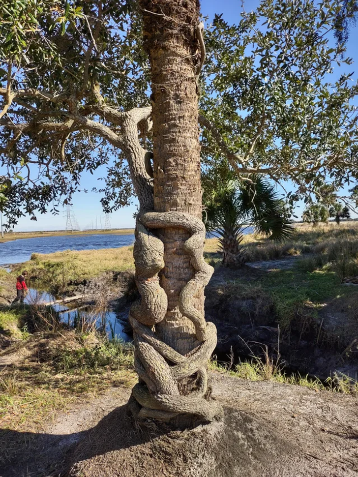 Illustration de l'article : 19 photos of everyday things that will bring a smile to your face