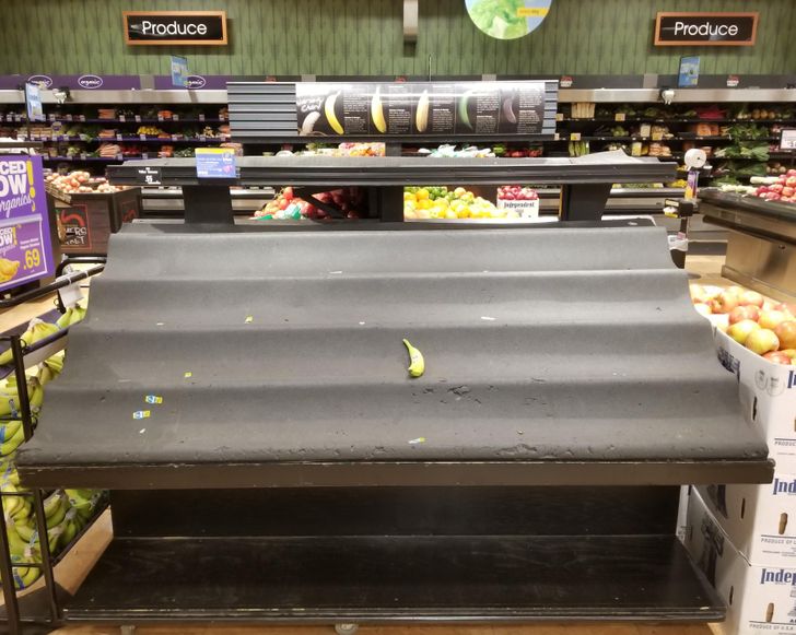 Illustration de l'article : 20 fascinating photos that provide an insight into different professions