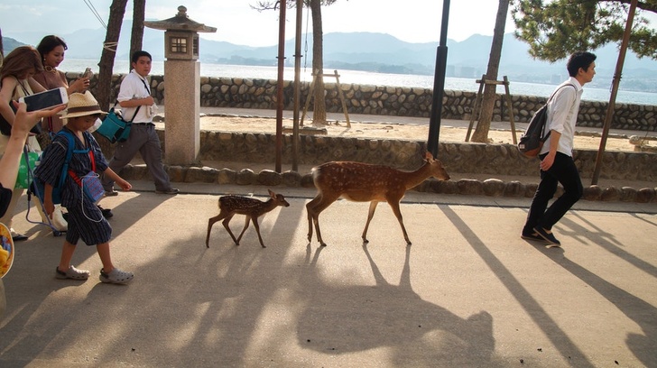 Illustration de l'article : 18 people who stood out from the crowd for a variety of reasons