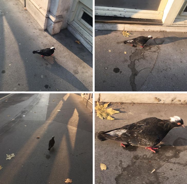 Illustration de l'article : 20 strange sights snapped and shared online