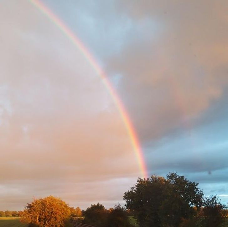 Illustration de l'article : 19 times when someone came across something weird