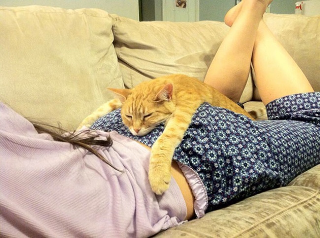 Illustration de l'article : 25 cute pets snapped mimicking their owners