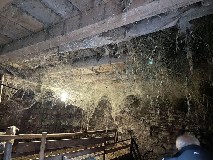 Illustration de l'article : 20 strange sights snapped and shared online