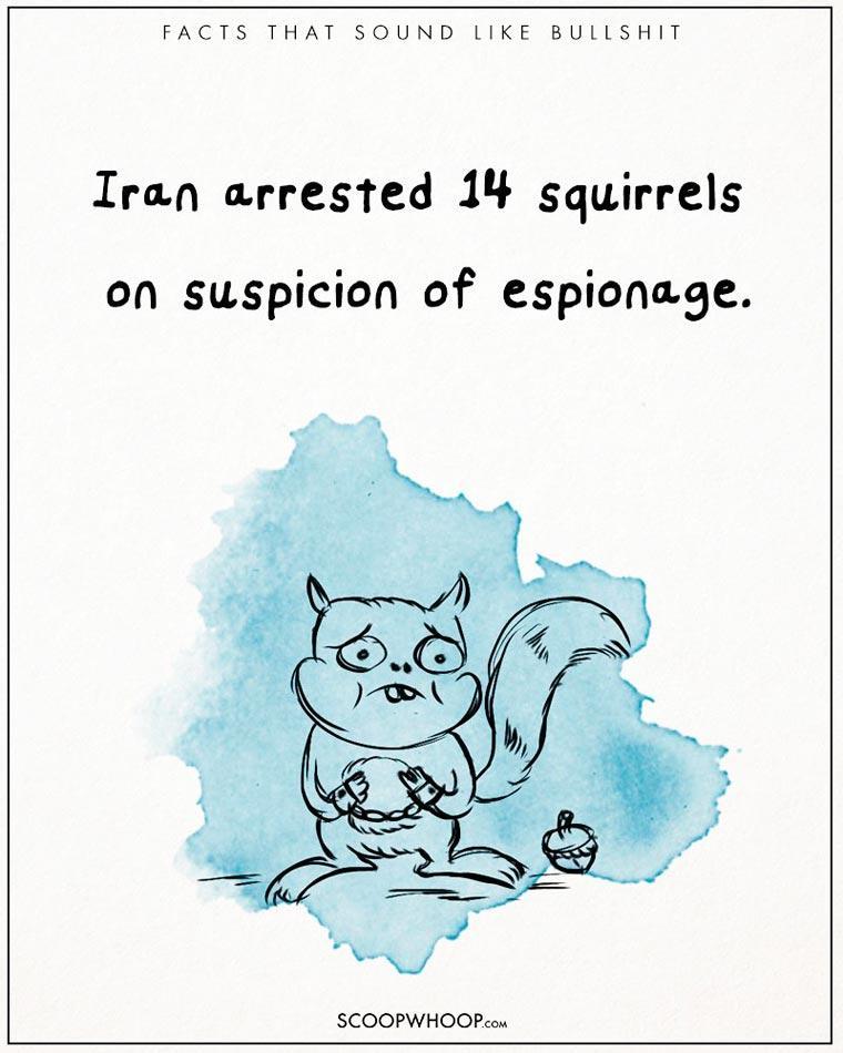 Illustration de l'article : 22 crazy but totally true facts illustrated with drawings!