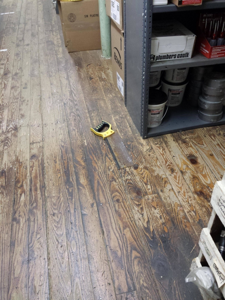 Illustration de l'article : 32 perfect examples of accidental camouflage