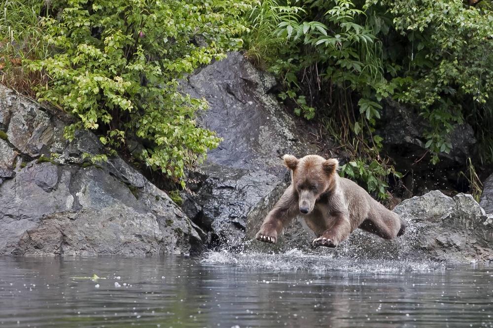 Illustration de l'article : 21 unlikely photos taken just before a catastrophe!