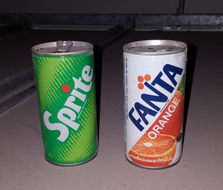 Illustration de l'article : 20 people who snapped and shared a really cool surprise