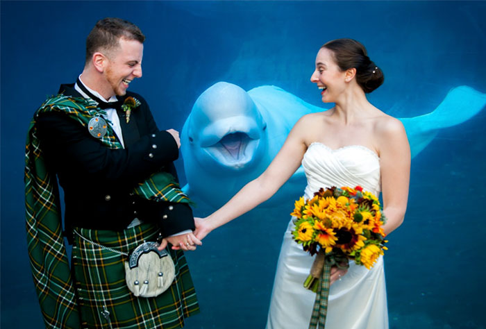 Illustration de l'article : 20 hilarious wedding photobombs that crowned the newlyweds' special day