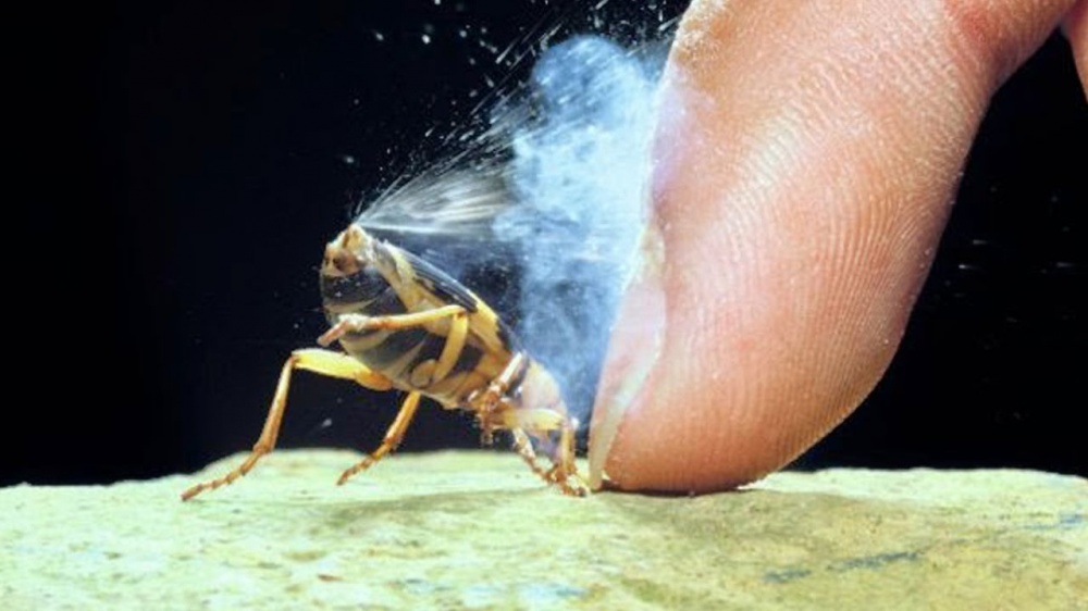 Illustration de l'article : 16 captivating images of the most fascinating natural wonders in the world