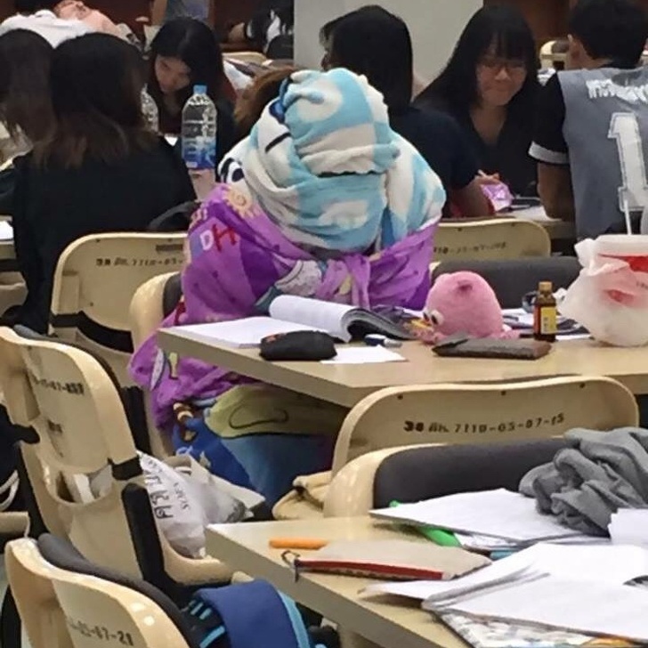 Illustration de l'article : 20 reasons why Australia is a unique country