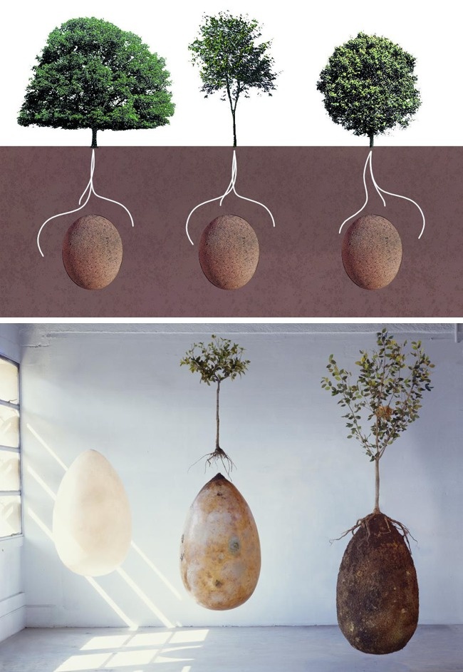 Illustration de l'article : 16 easy ways to help preserve our planet