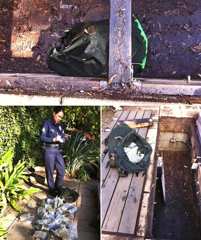 Illustration de l'article : 10 totally unexpected things people have found in their yards