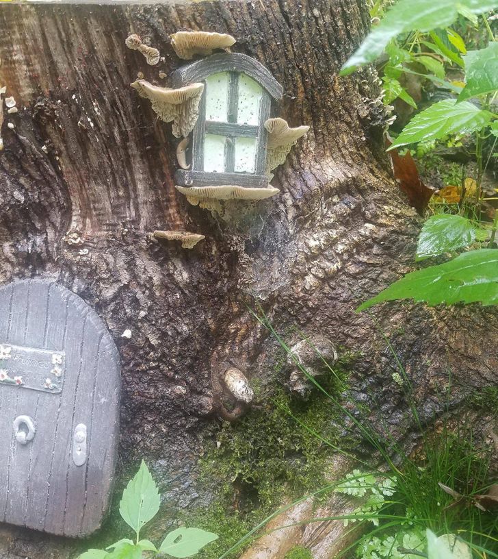 Illustration de l'article : 19 cool coincidences caught on camera