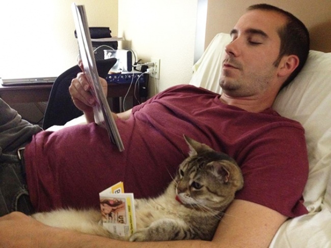 Illustration de l'article : 25 cute pets snapped mimicking their owners