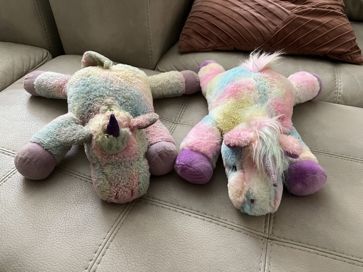 Illustration de l'article : 20 cool old versus new photos