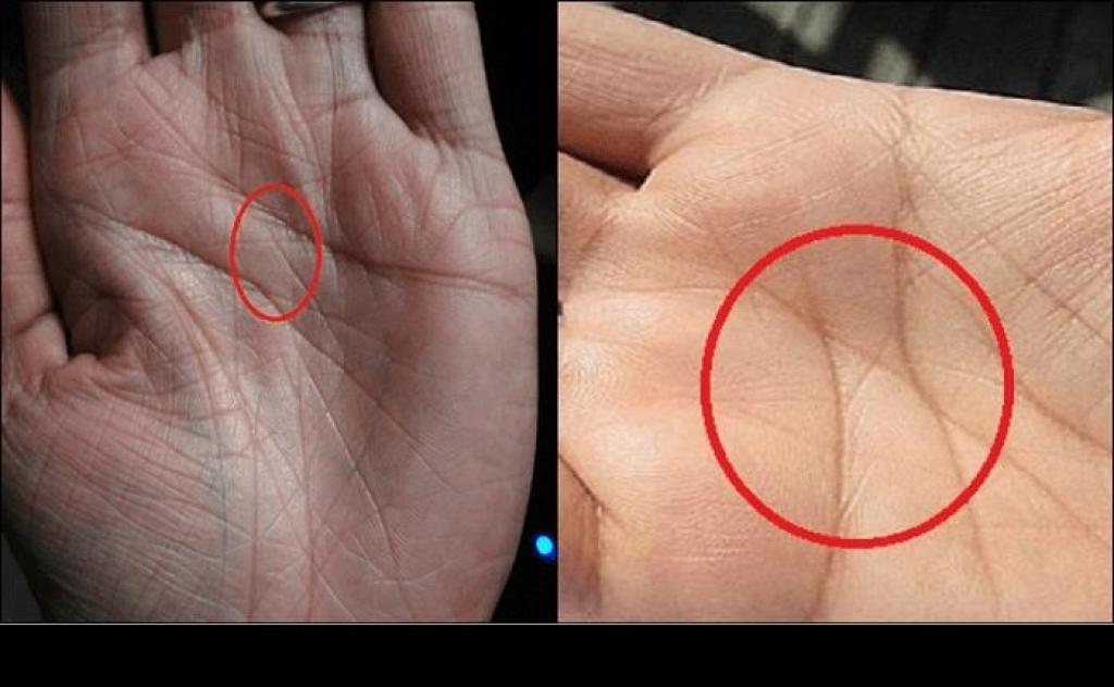 Illustration de l'article : Here’s what this mark in your palm means, and it’s only found in 3 out of 100 people!