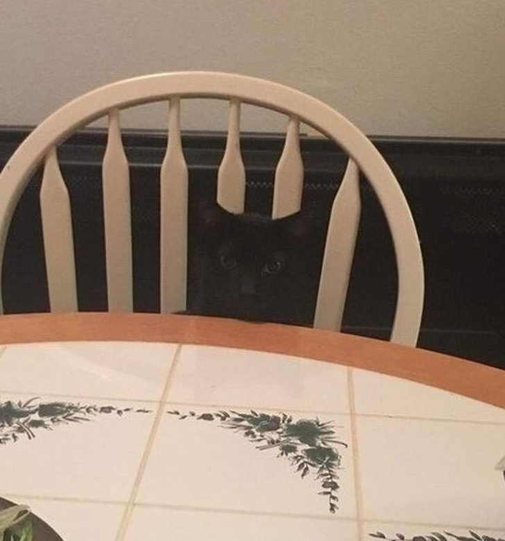 Illustration de l'article : 19 deceptive pictures that show things aren’t always what they seem