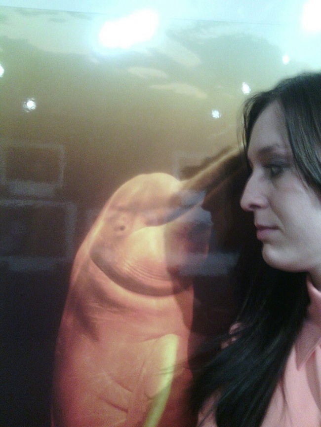 Illustration de l'article : 16 freaky photos guaranteed to blow your mind