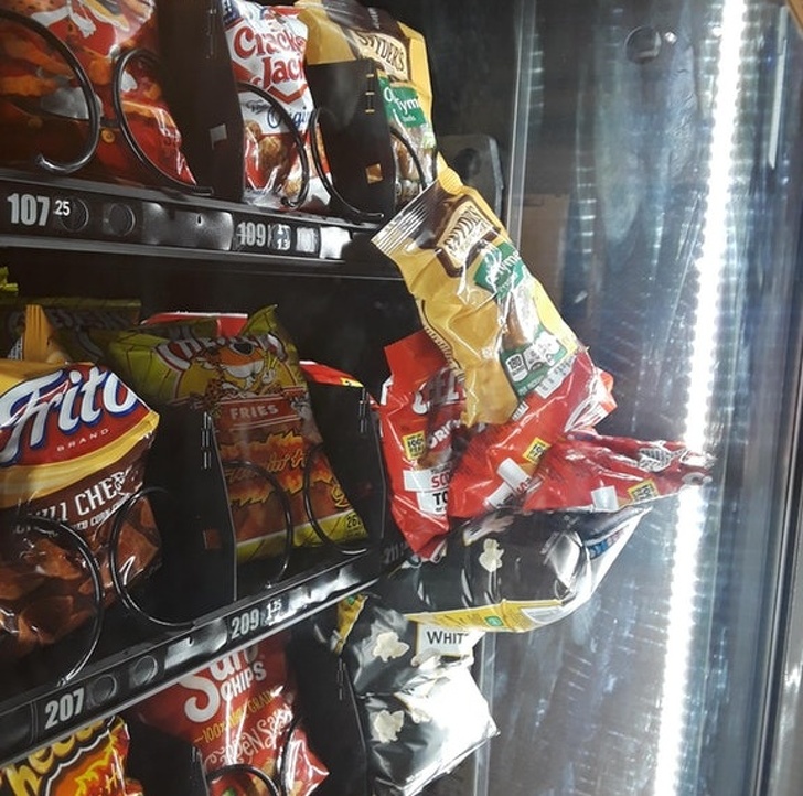 Illustration de l'article : 20 times someone found a mini-disaster on their hands
