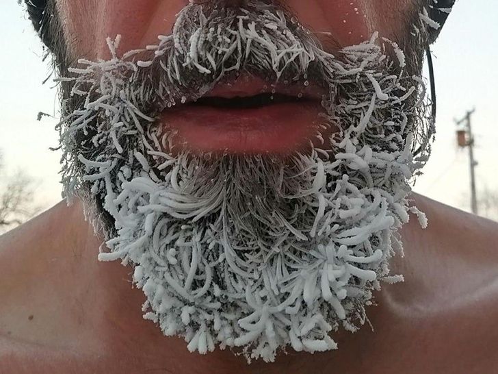 Illustration de l'article : 20 photos that will appeal to curious people