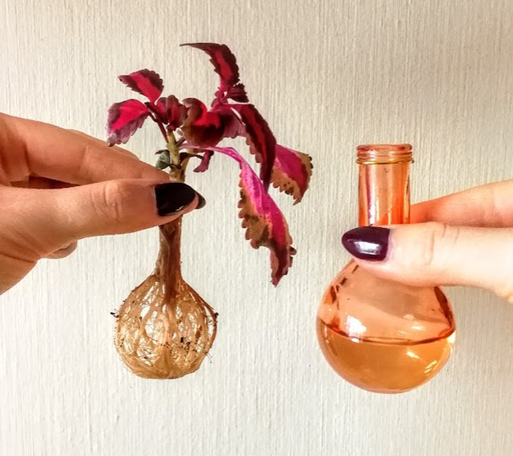 Illustration de l'article : 20 photos of everyday things with an added twist