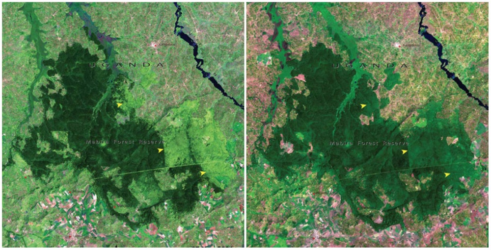 Illustration de l'article : The Earth before and today: NASA unveils some unprecedented pictures of the dramatic changes in our planet