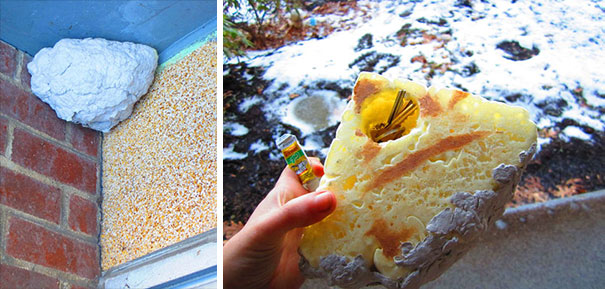 Illustration de l'article : 20 secret hiding places that would fool the smartest of burglars