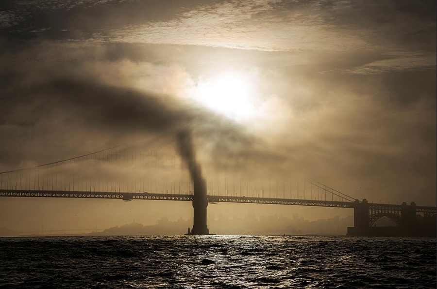 Illustration de l'article : 25 photos you’ll have to look at twice to understand