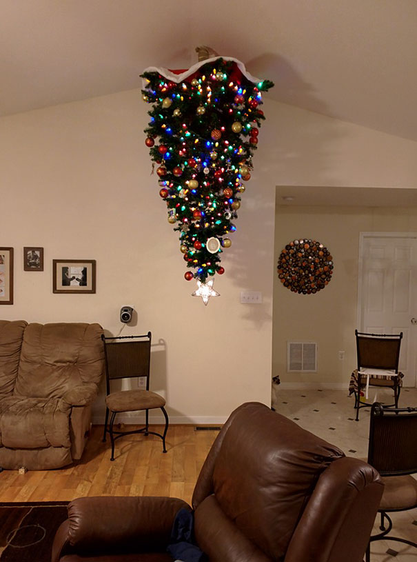 Illustration de l'article : 20 genius ways to stop your pet from destroying your Christmas tree!