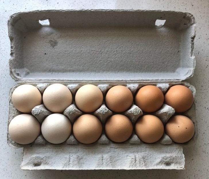 Illustration de l'article : 29 satisfying photos of perfection