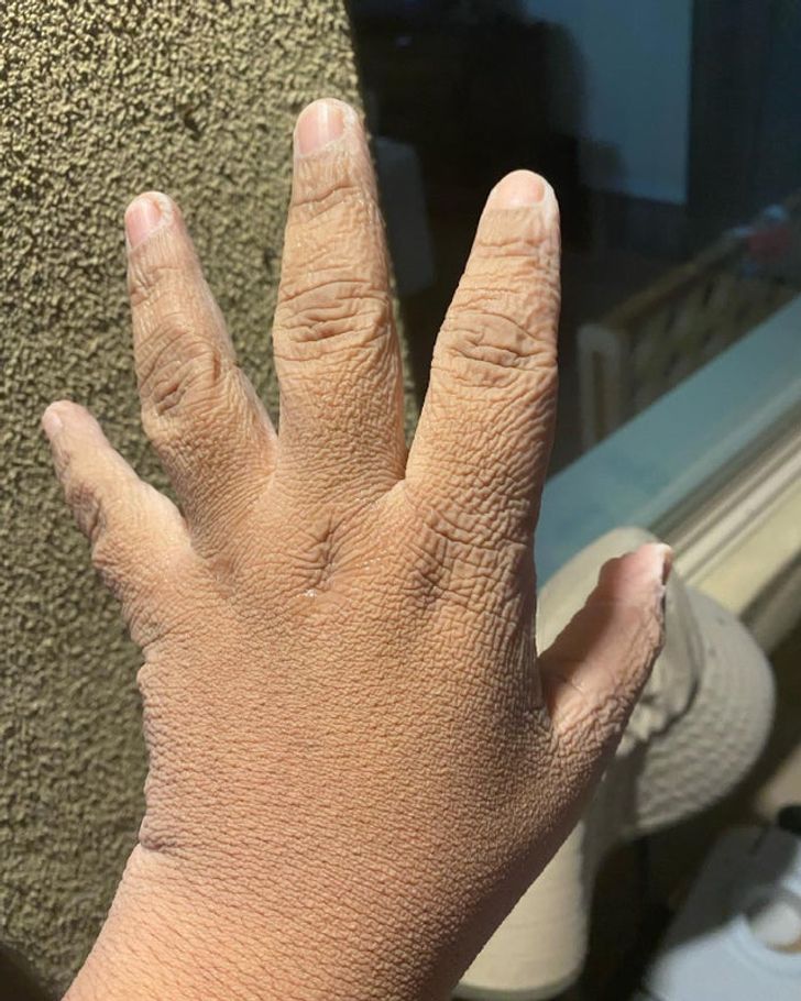 Illustration de l'article : 18 times nature has surpassed itself