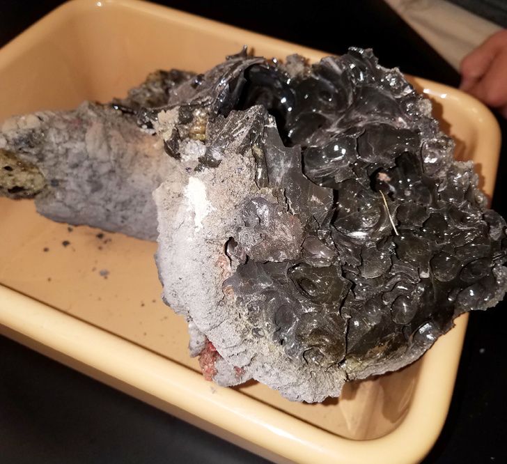 Illustration de l'article : 20 photos of interesting and amazing natural phenomena