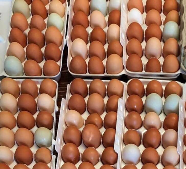 Illustration de l'article : 20 photos that aren’t what they seem