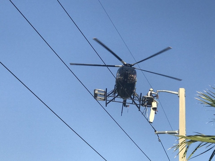 Illustration de l'article : 22 people who could find a solution to any crisis